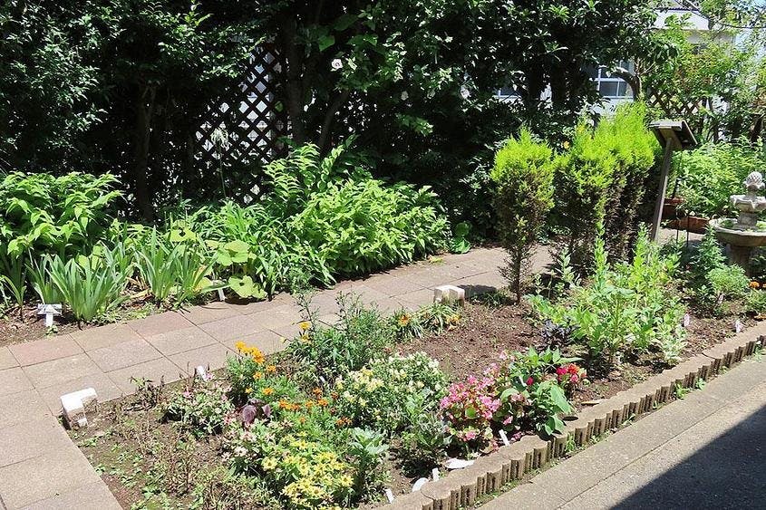メディカルホームくらら青葉台 お庭の花壇