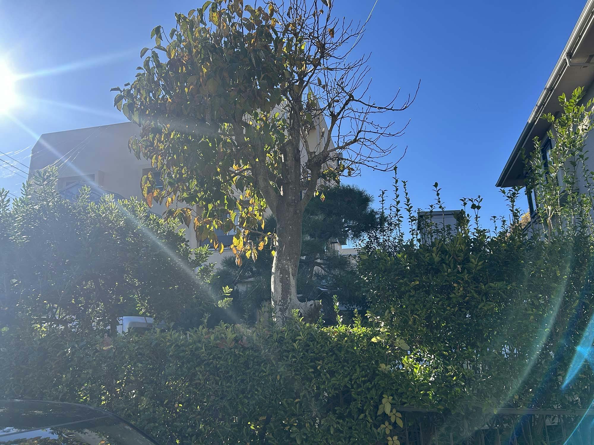 軽費老人ホーム　きしろホーム 外観