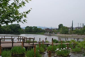 ローズライフくずは 市民の森：鏡伝池