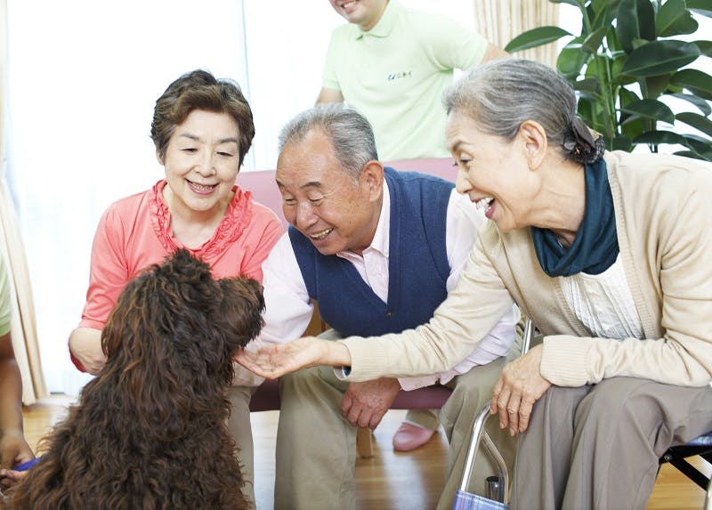 ニチイホーム八幡山 ドッグセラピー