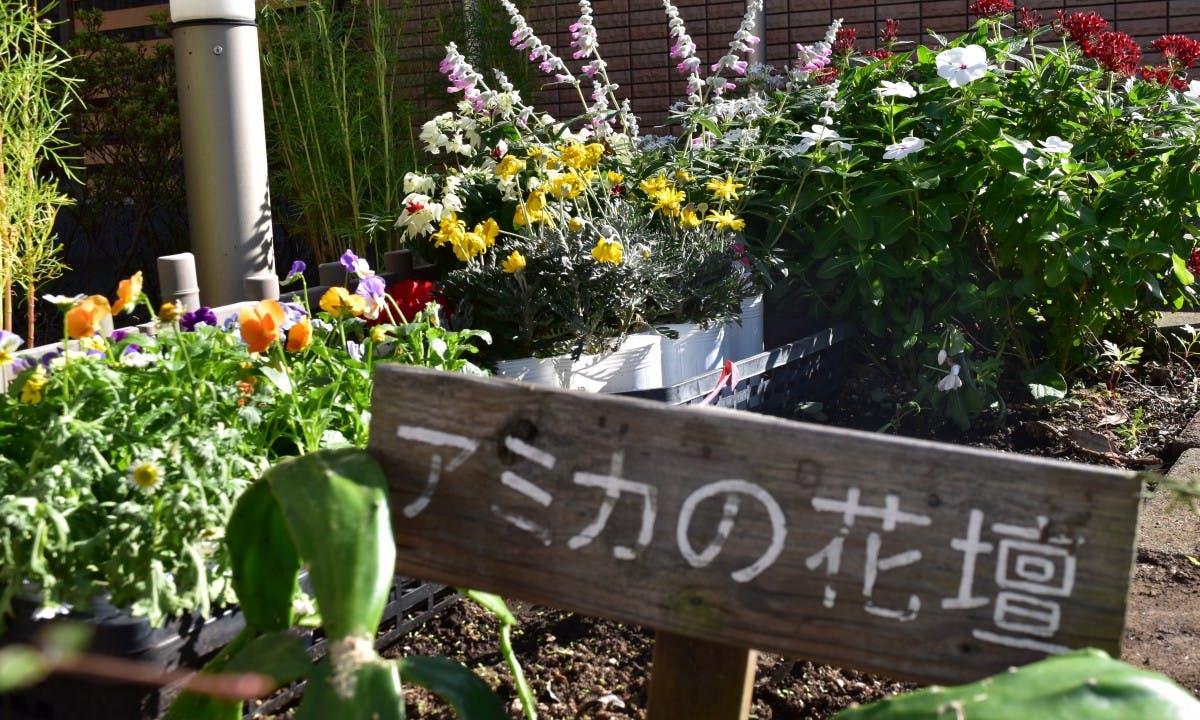 アミカの郷ちとせ 花壇