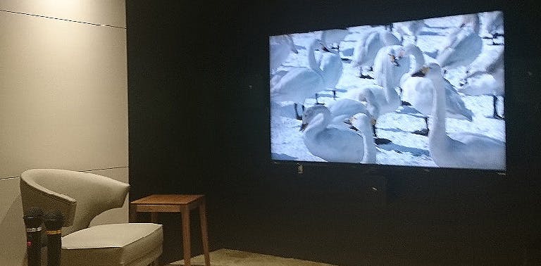 パークウェルステイト浜田山 シアタールーム