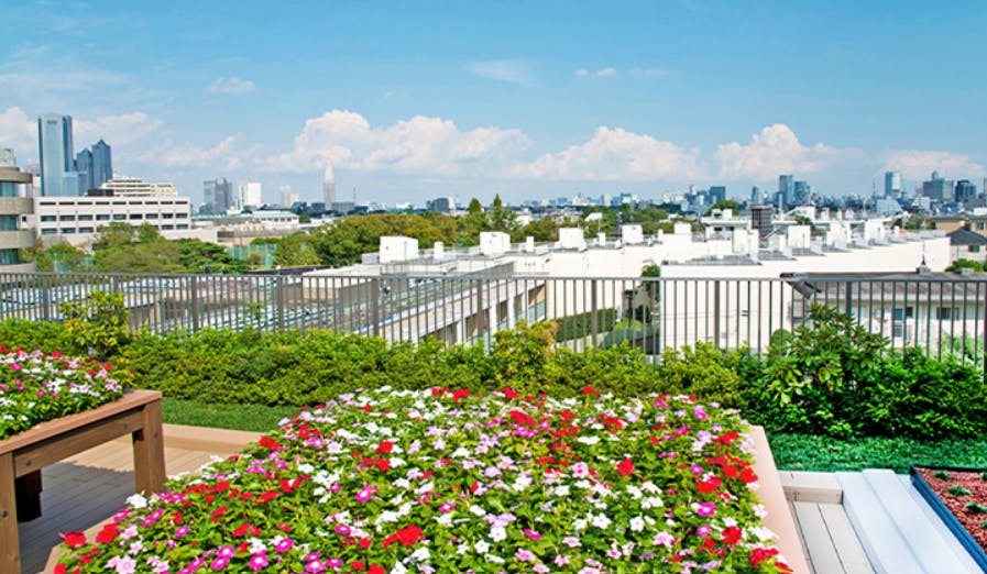 アライブ代々木大山町 庭園