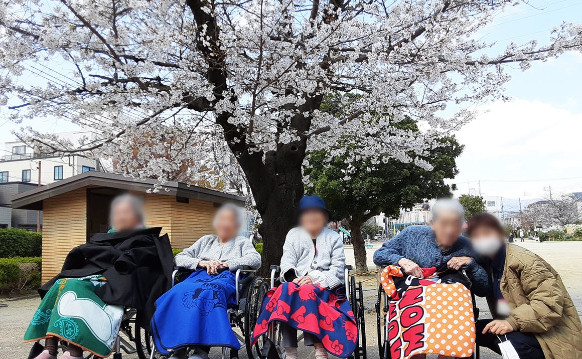 プレザンメゾン立花 お花見