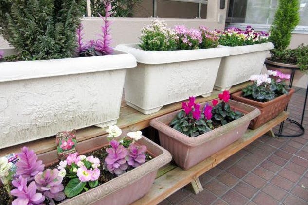 グランダ町田 玄関の花