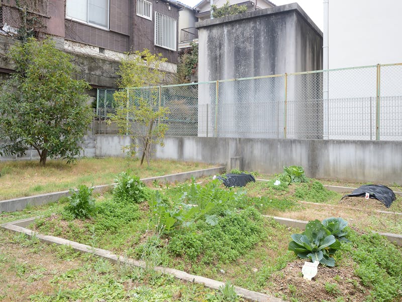 グループホームたのしい家藤井寺 菜園スペース