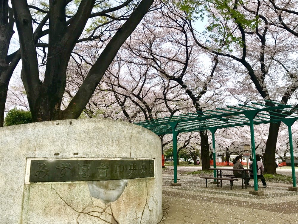 介護付有料老人ホームみんなの家・みずほ台 みずほ台中央公園