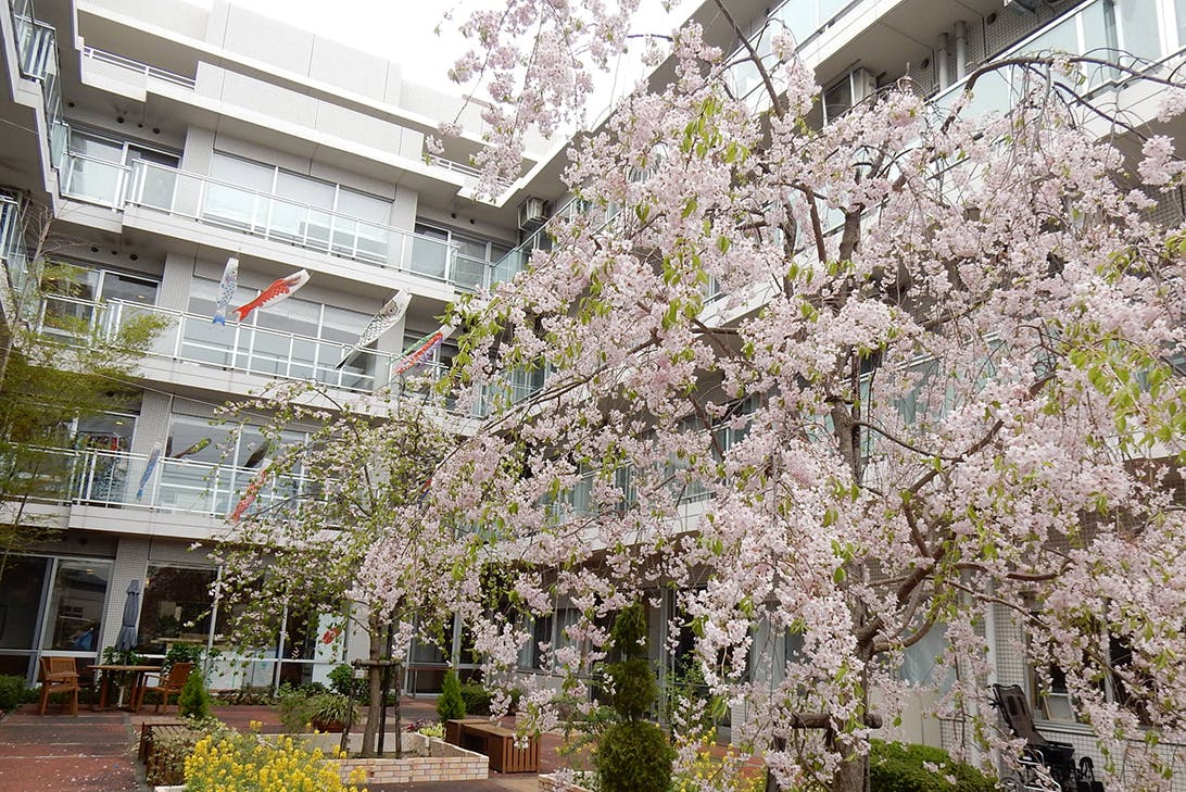 フェリオ多摩川 中庭