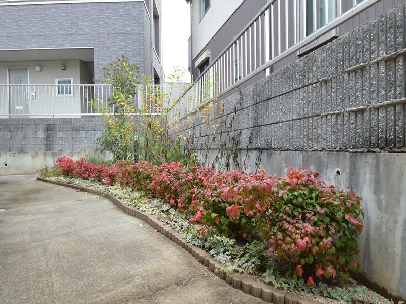 グループホームたのしい家祇園山本 庭