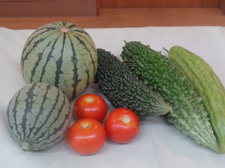 住宅型有料老人ホーム 青蓮荘 夏野菜の収穫