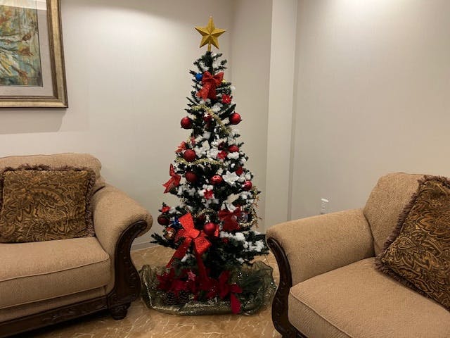 メックテラスたまプラーザ クリスマス