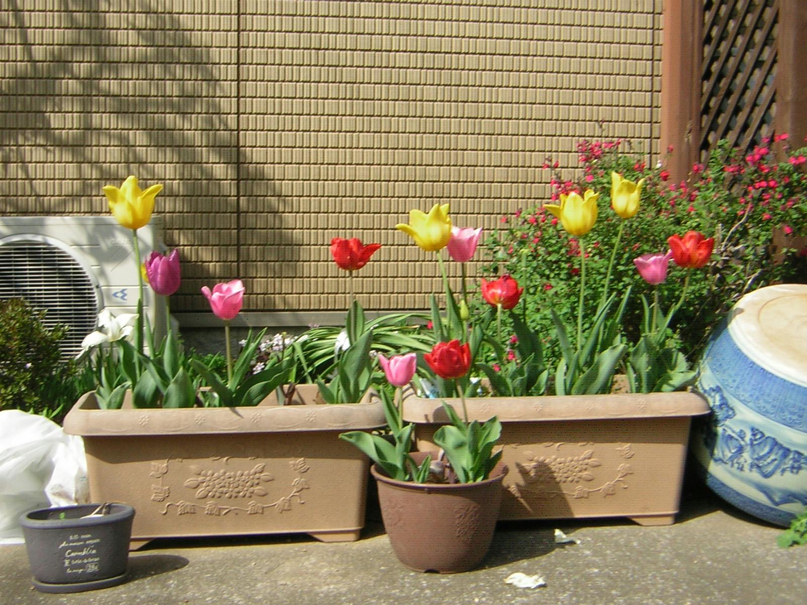 ニチイケアセンター川崎宮内 花壇