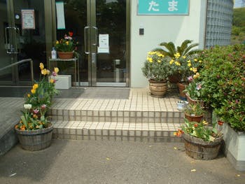 ベストライフたま 玄関