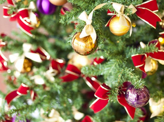 楽心 クリスマス
