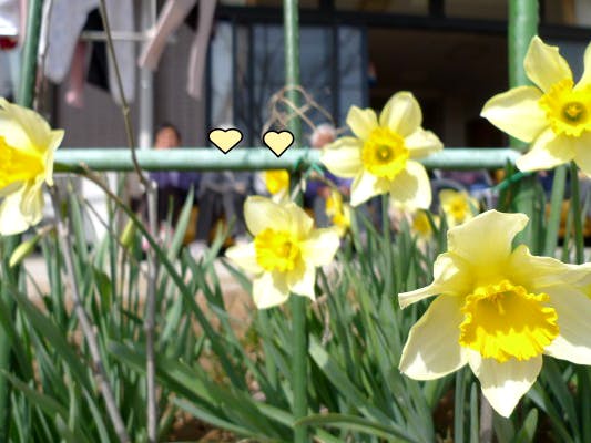 グループホームみんなの家・鴻巣 庭