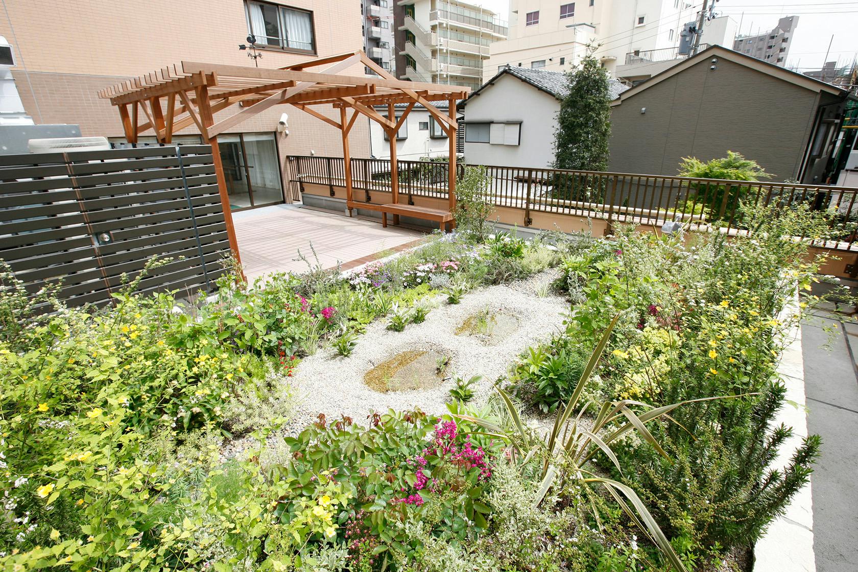 グレースメイト目白 庭