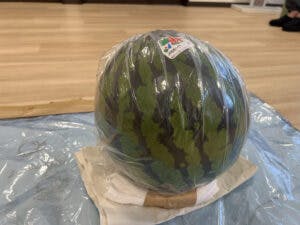 愛の家グループホーム広島大林 スイカ割り