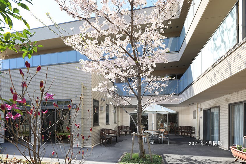 リハビリホームグランダ板橋前野町 1F ウッドデッキ/桜