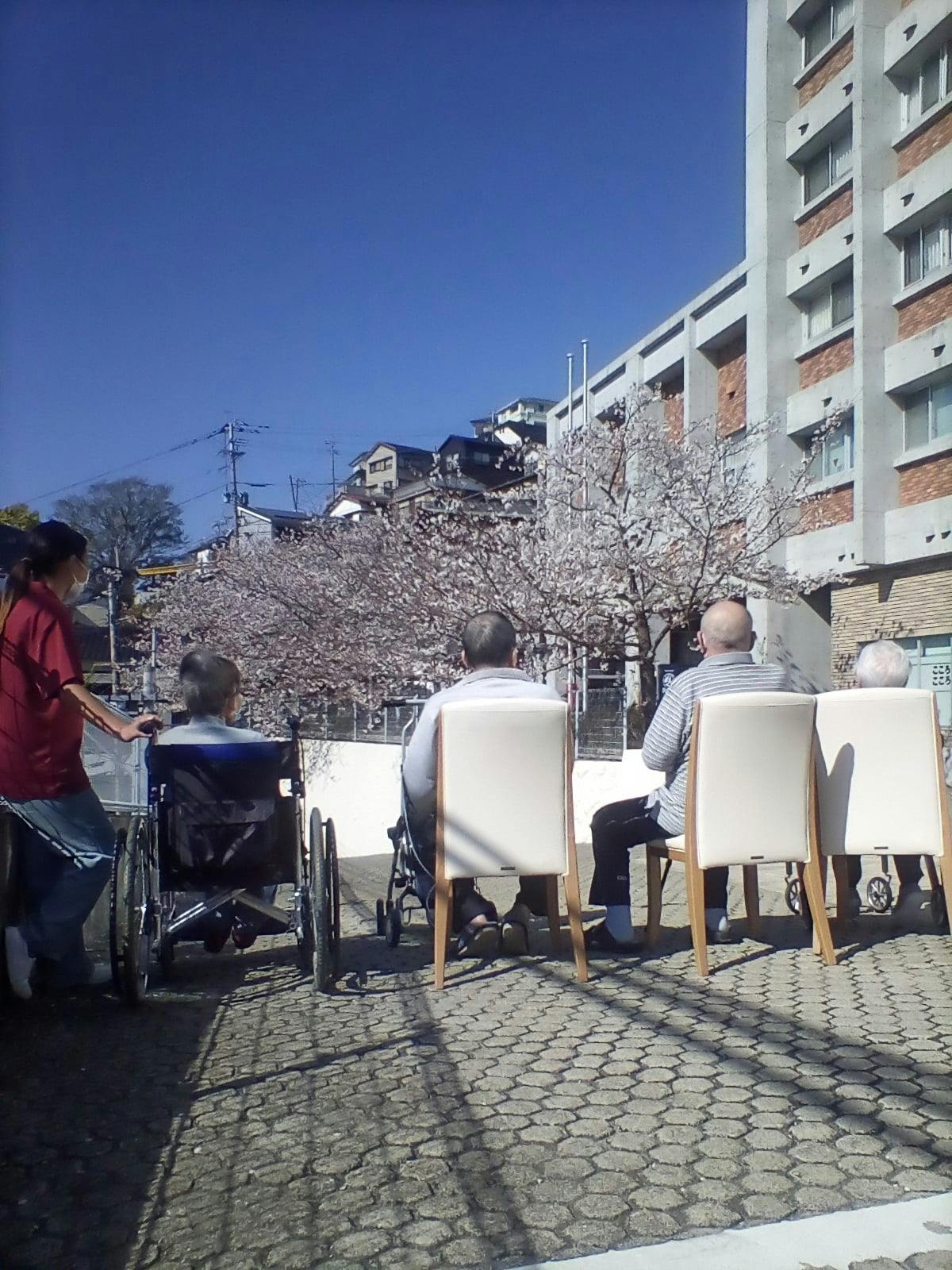介護付き有料老人ホームこころのしろ お花見