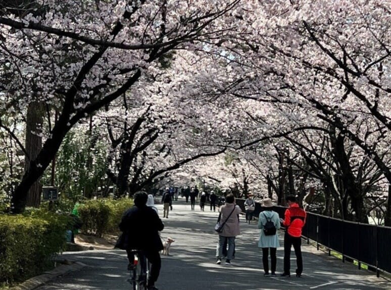そんぽの家Ｓ夙川香櫨園 夙川公園