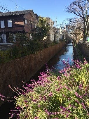 そんぽの家Ｓ上野毛 散歩道